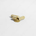 Ginkgo Biloba + Ginseng